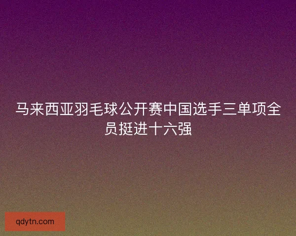 马来西亚羽毛球公开赛中国选手三单项全员挺进十六强